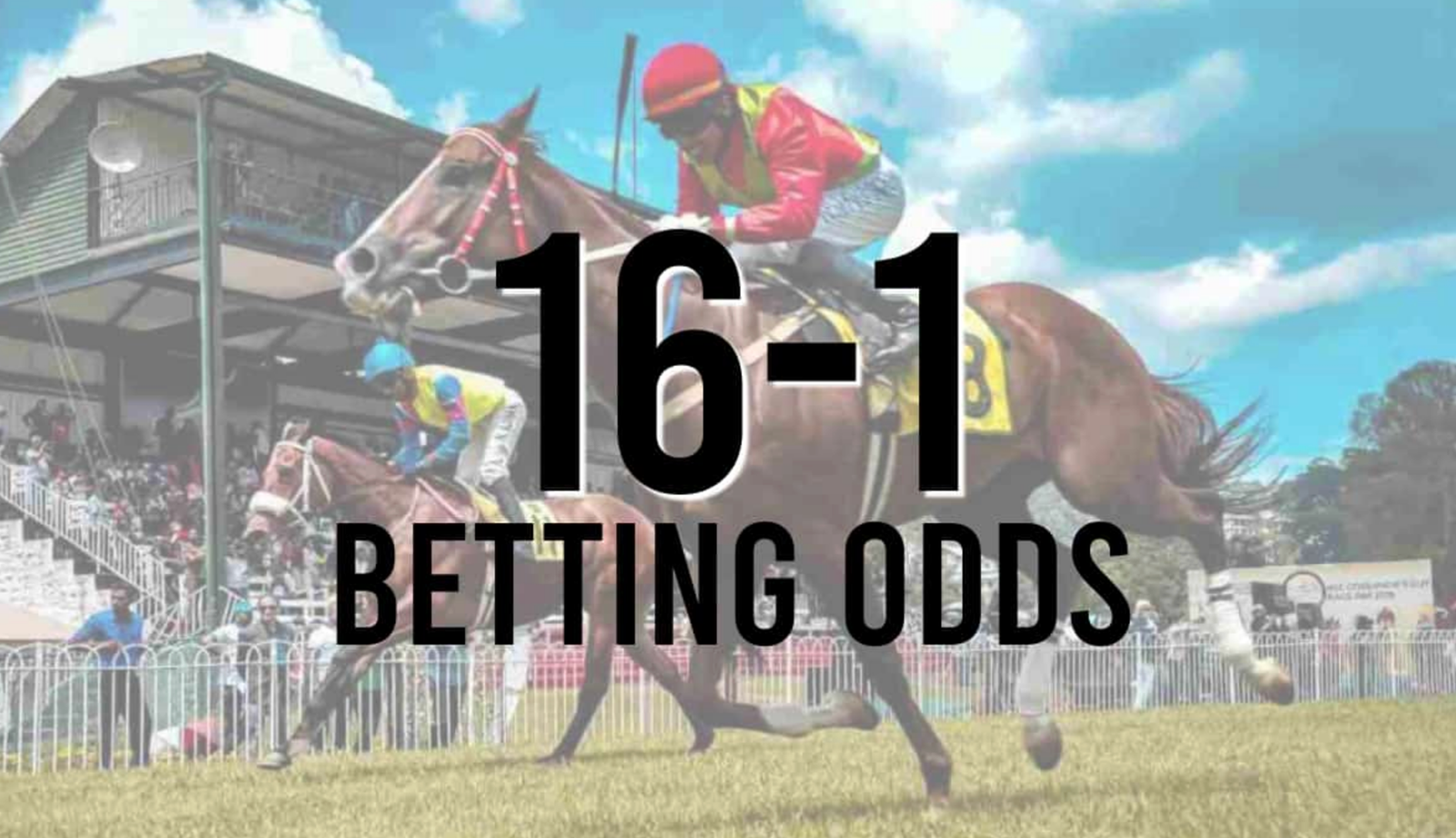 16-1 Odds