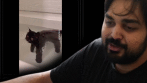 The Cat in a Blender Video: The Disturbing Viral Incident