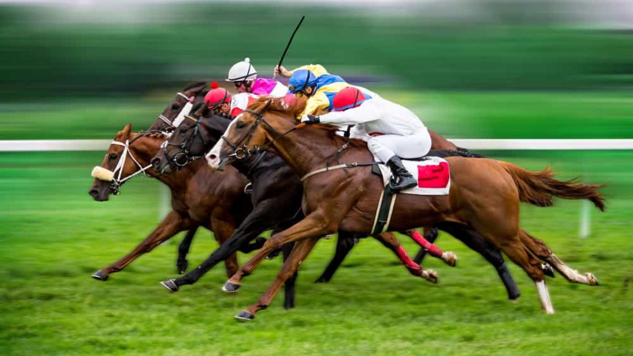 Saddle Up for Success