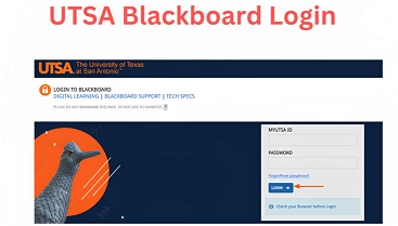 UTSA Blackboard Account