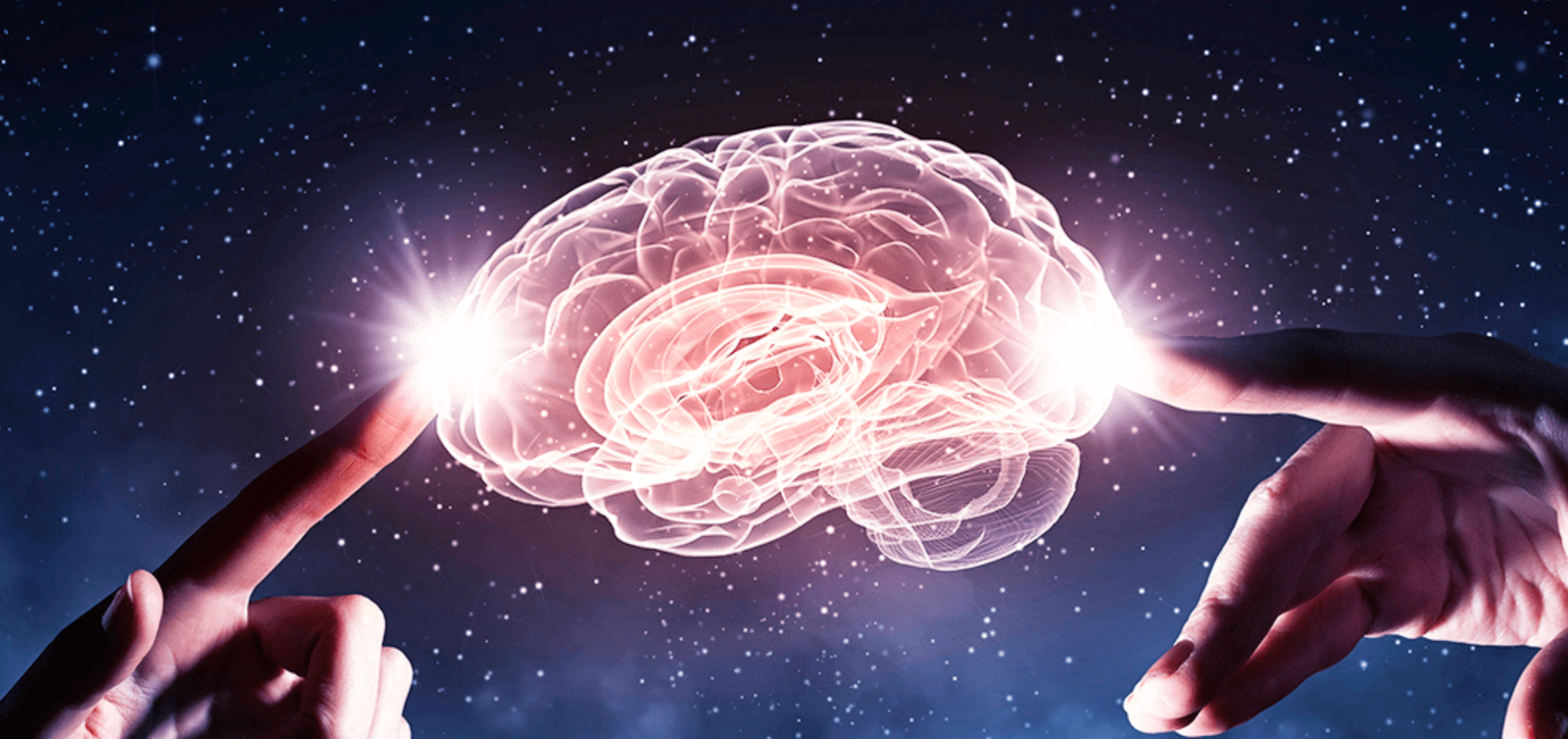 The Science Behind the Mind: How a Strong Mind Can Impact Your Performance