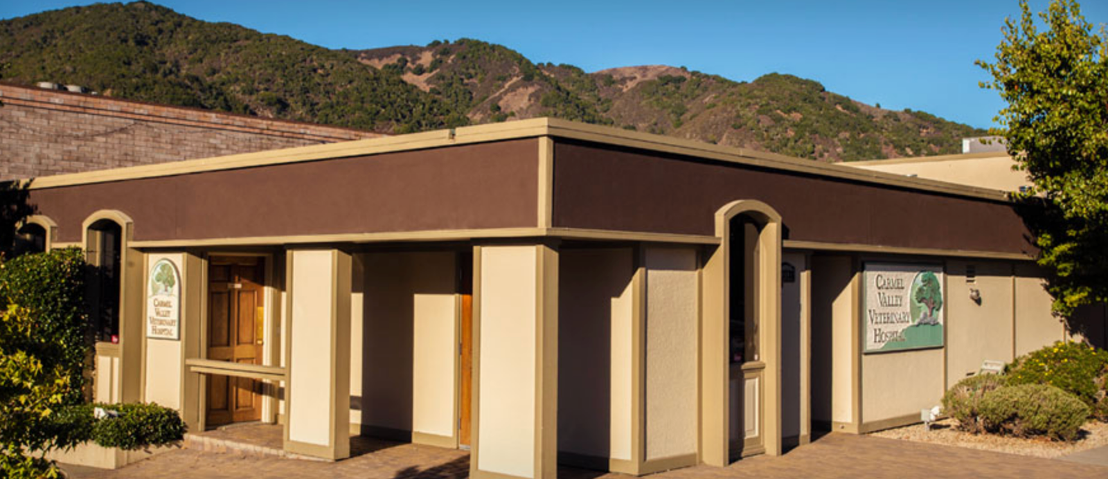 The Extraordinary Veterinary World of Carmel Valley