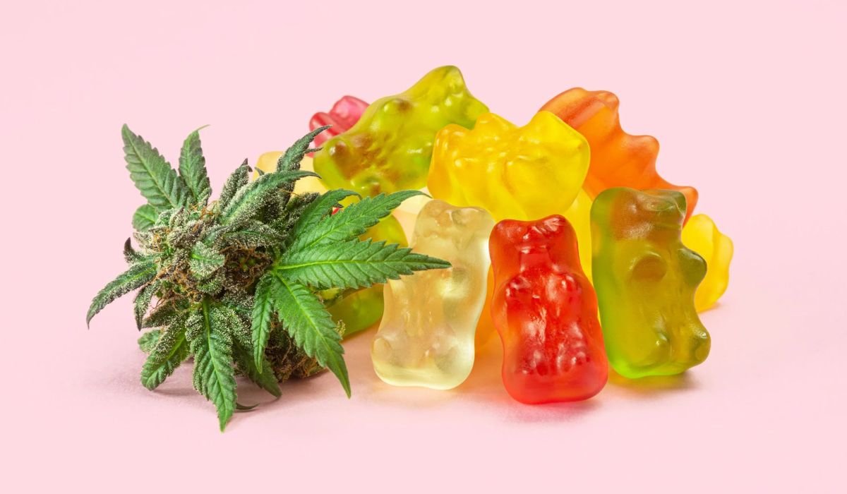Travel Guide: 8 CBD Edible You Can Pack While Travelling + Benefits (2024)