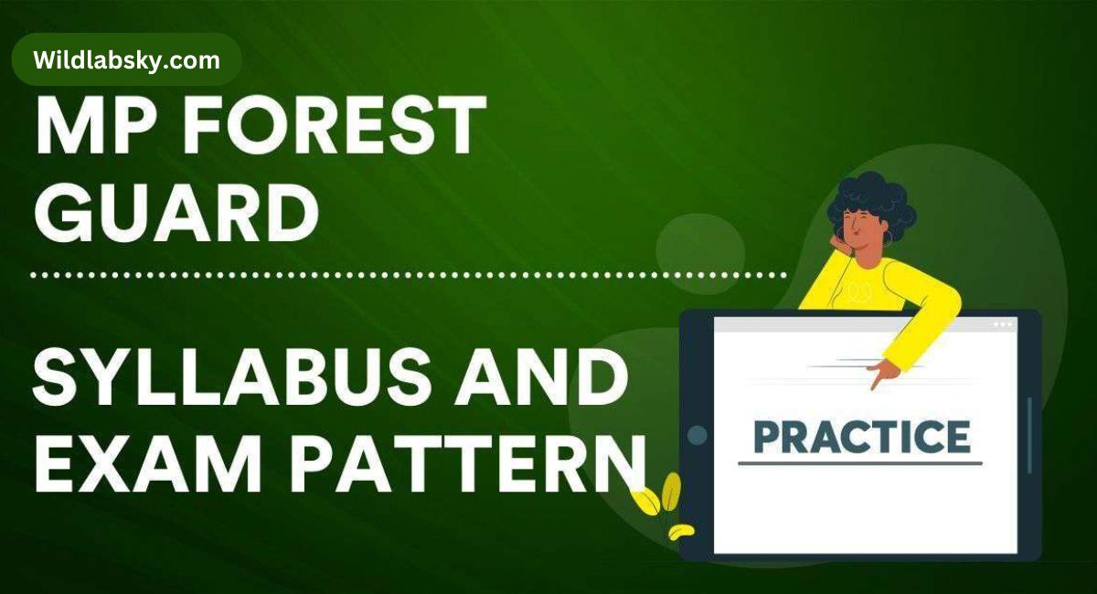 MP Forest Guard Mock Test: Syllabus, Preparation Tips