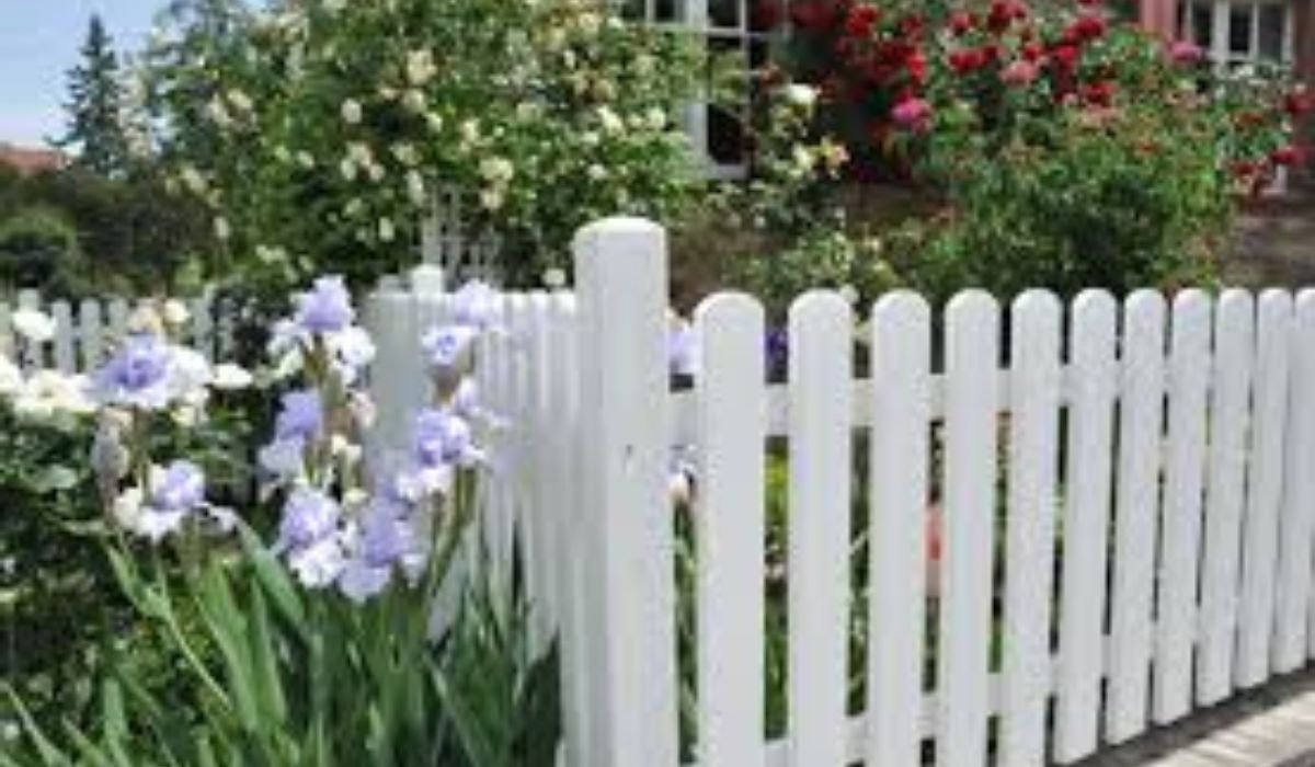 Expert Fence Painting and Deck Staining Services in Ottawa: Enhance Your Outdoor Space