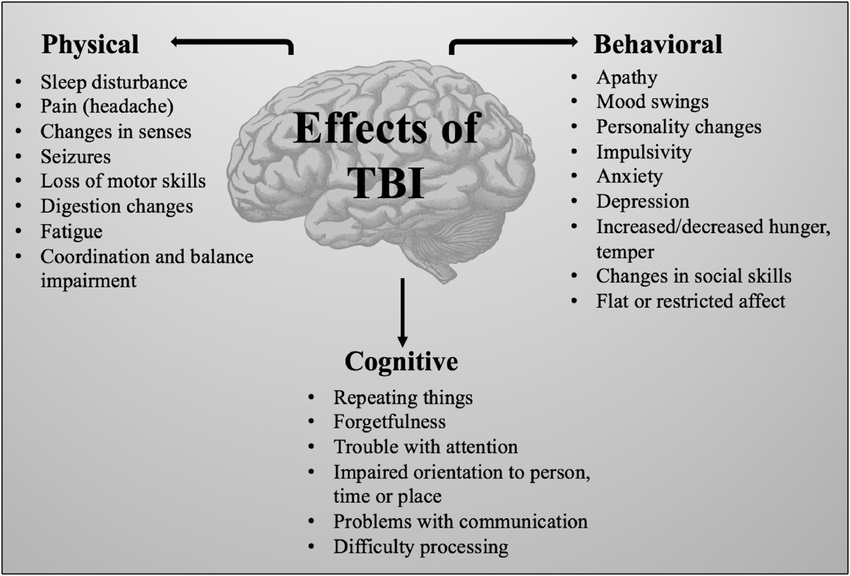 How Brain Injury Can Impact Cognitive Development in Children