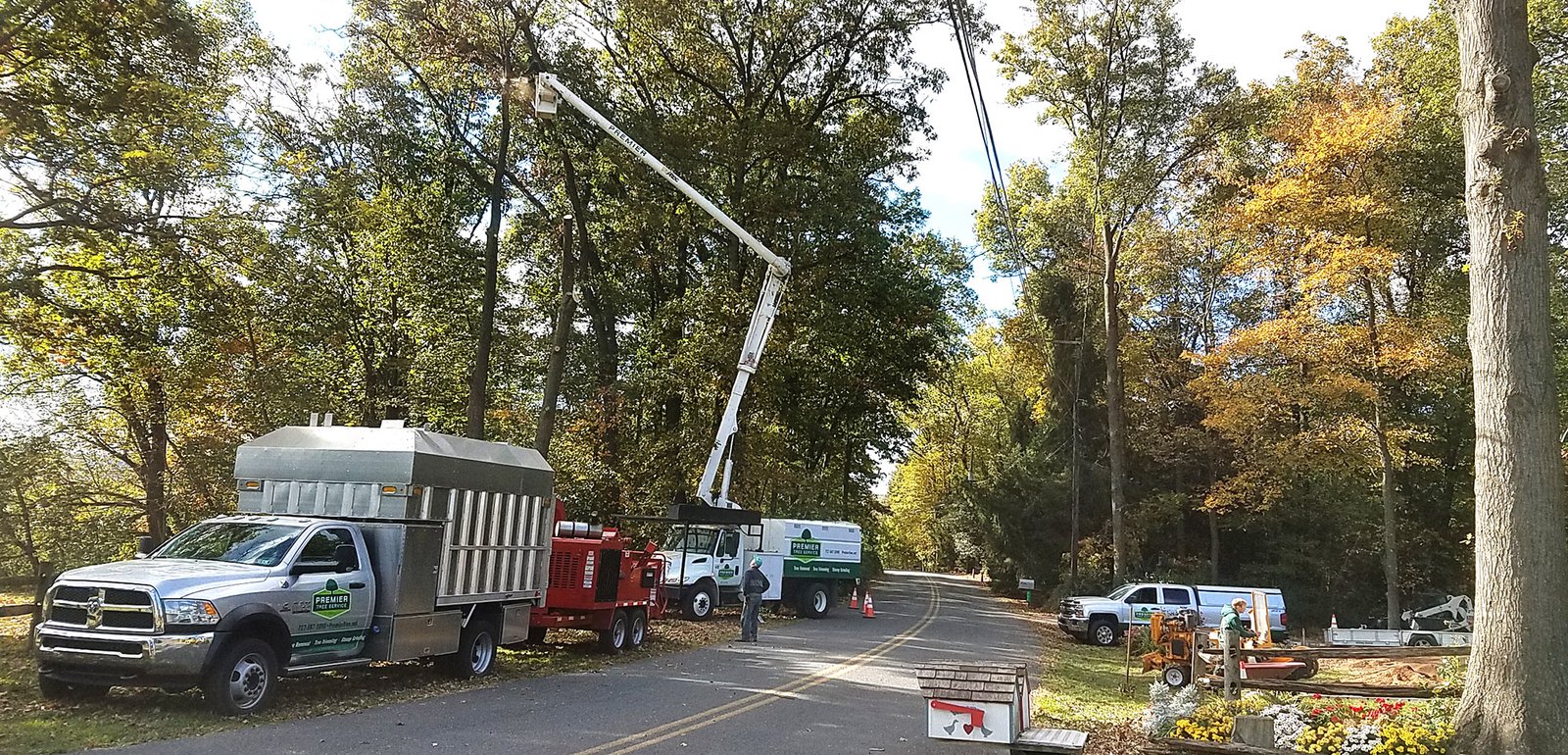 Premier Tree Service in Stockton, CA – Professional Tree Care You Can Trust