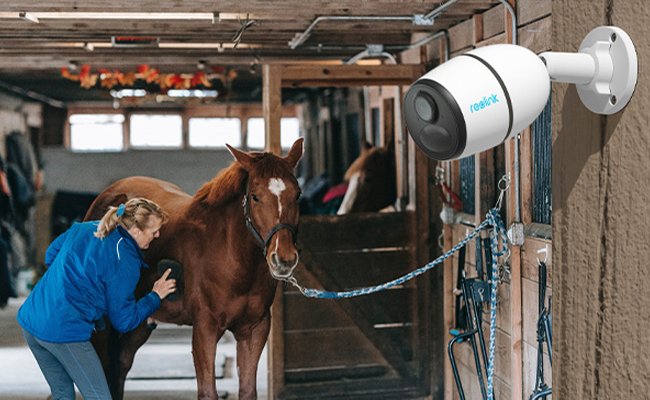 Understanding the Role of Horse Cameras in Equine Health Monitoring