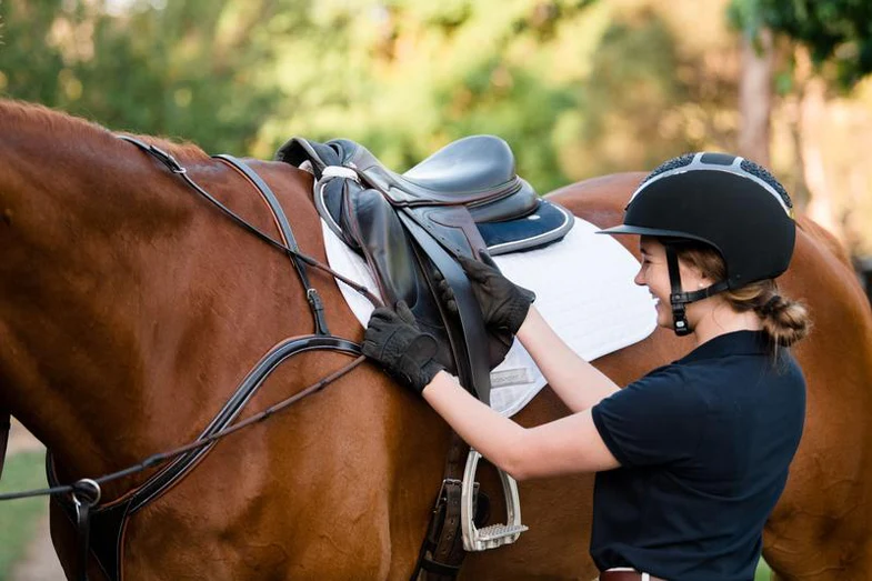 Perfect Pony Bridle: Lumiere Equestrian's Comfort & Style