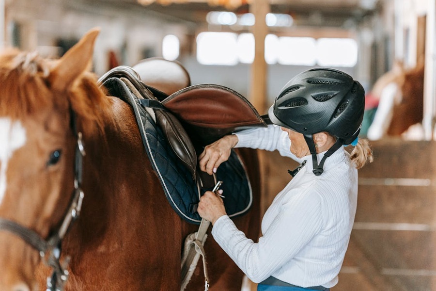 Essential Horse Riding Equipment: Safety and Comfort