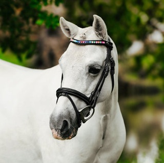 Lumiere Equestrian's Comfort & Style