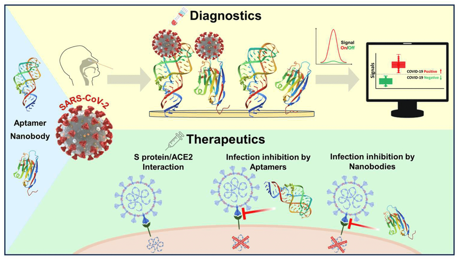 The Business of Diagnostics: How Antibodies and Streptavidin Are Shaping Modern Healthcare
