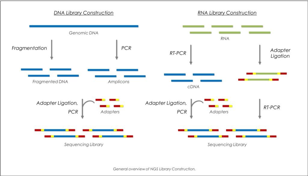 Library Preperation Instrument Comparing NGS Library Preparation Methods: Which One is Right for Your ...