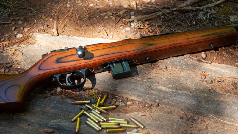 Muzzleloader: A Comprehensive Guide to Modern Black Powder Shooting