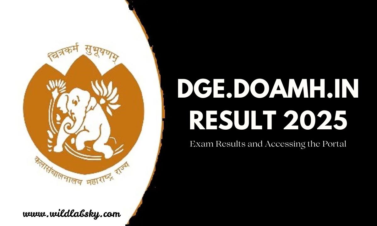 DGE.DOAMH.IN: A Comprehensive Guide to Exam Results and Accessing the Portal