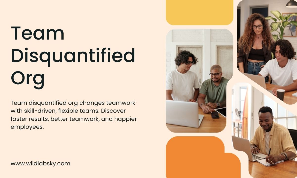 Team Disquantified Org