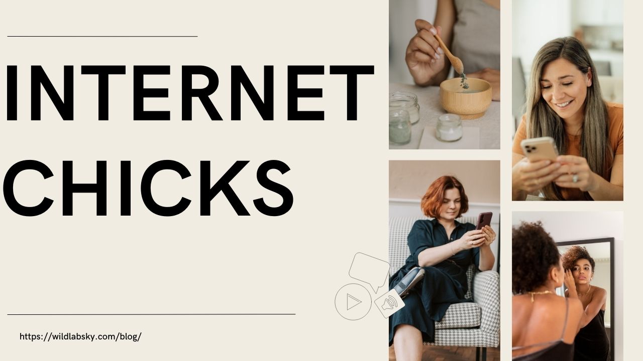 Internet Chicks: The Digital Revolution of Online Fame, Influence & Empowerment