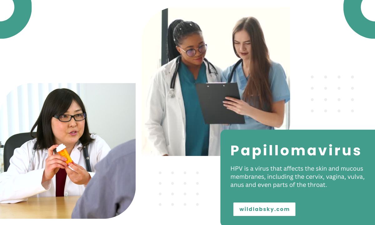 Papillomavirus