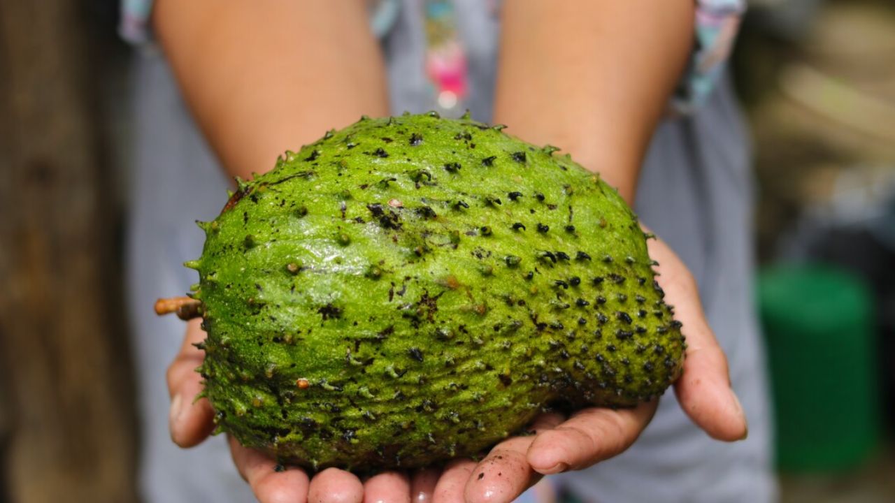 Soursop