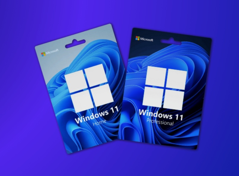 Windows 11