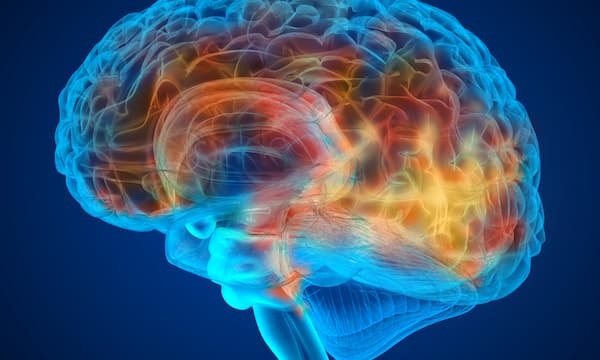 The Science Behind Psychedelic Therapy: Enhancing Neuroplasticity for Healing