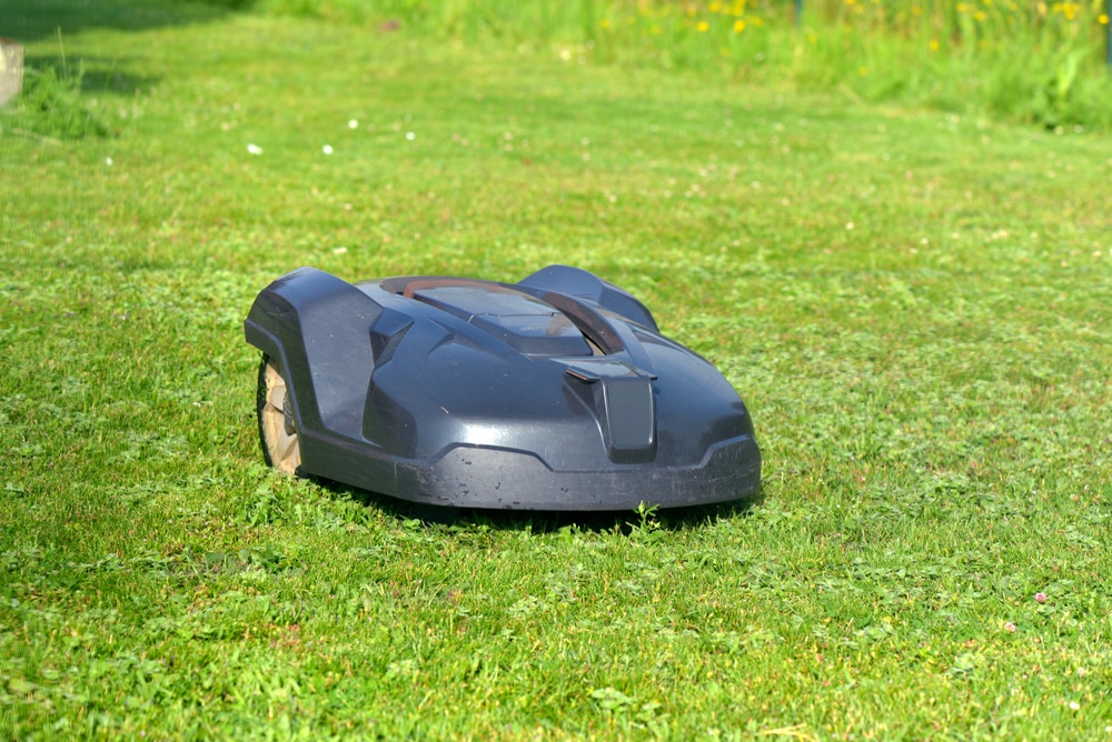 Best Robot Lawn Mower: The Future of Mowing