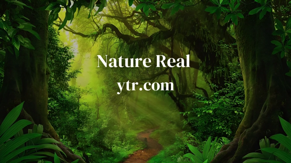 nature real ytr.com