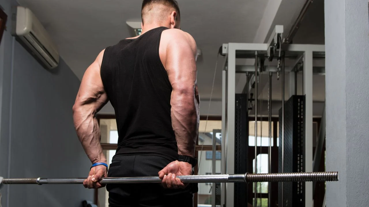 forearm workouts