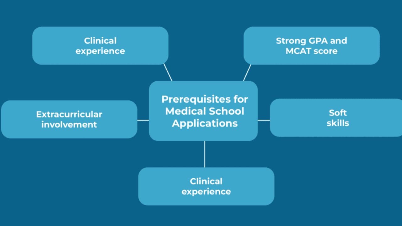 How to Balance Academics and MCAT Preparation for a Successful Medical School Application