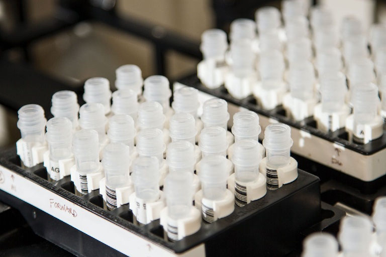 Follistatin-344: Muscle Cells, Cellular Research, and Beyond
