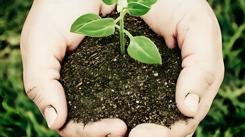 soil health card scheme