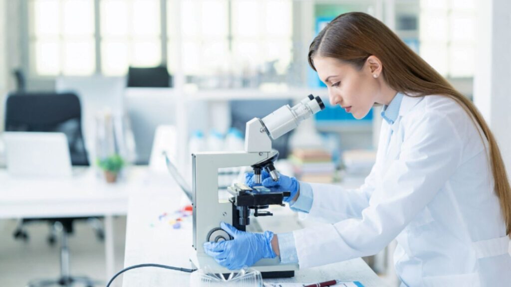 what is lab 