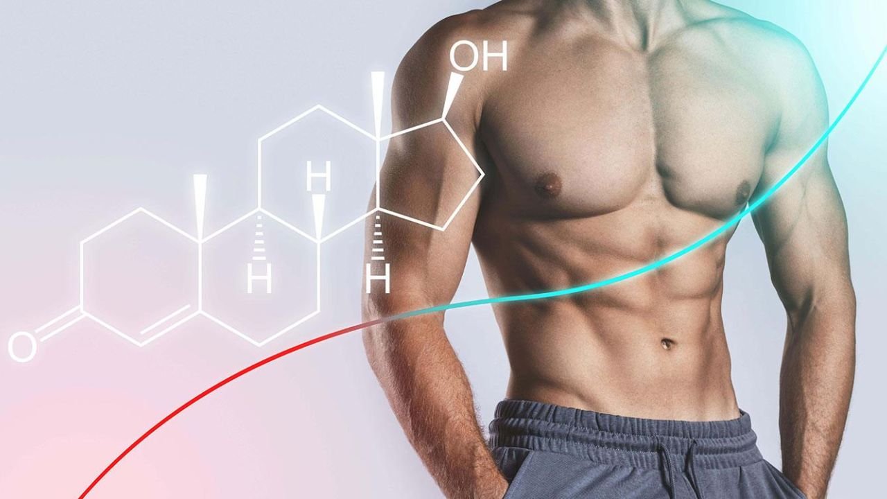 How important is testosterone for health?