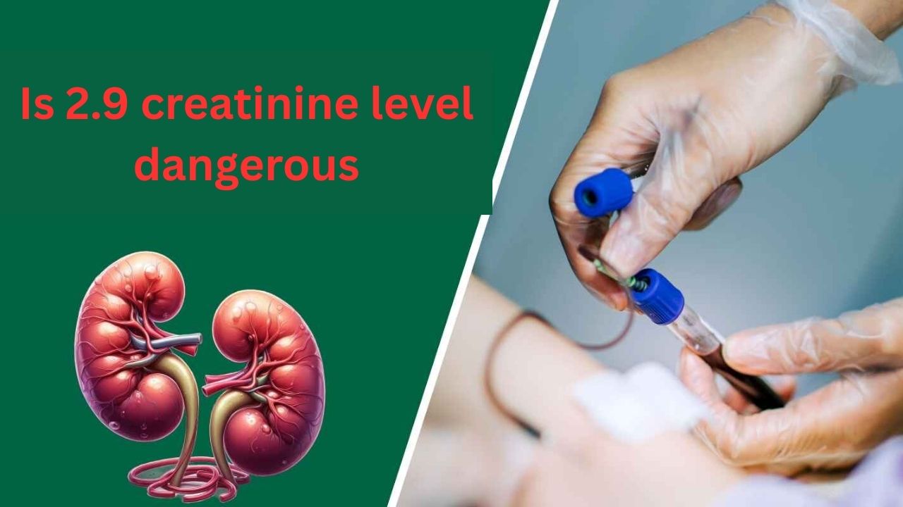 Creatinine 2.9: Is 2.9 Creatinine Level Dangerous?