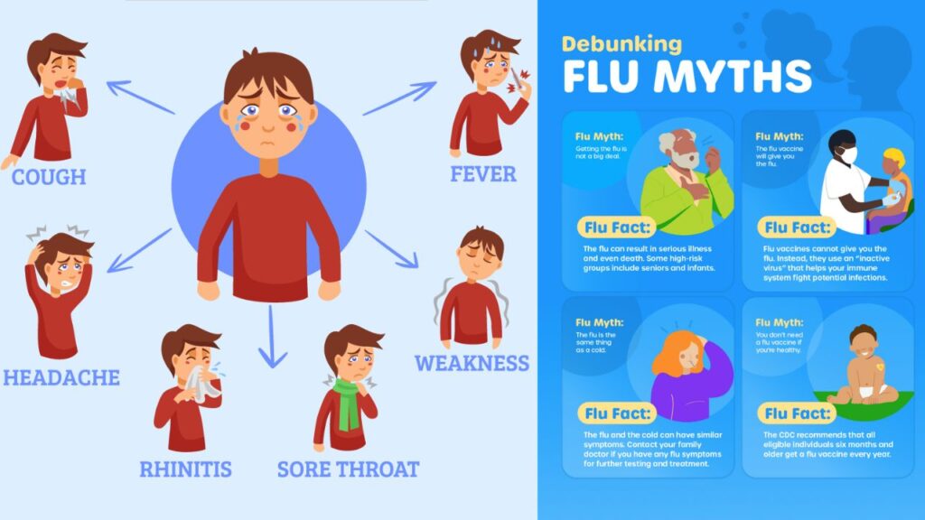 stages of the flu