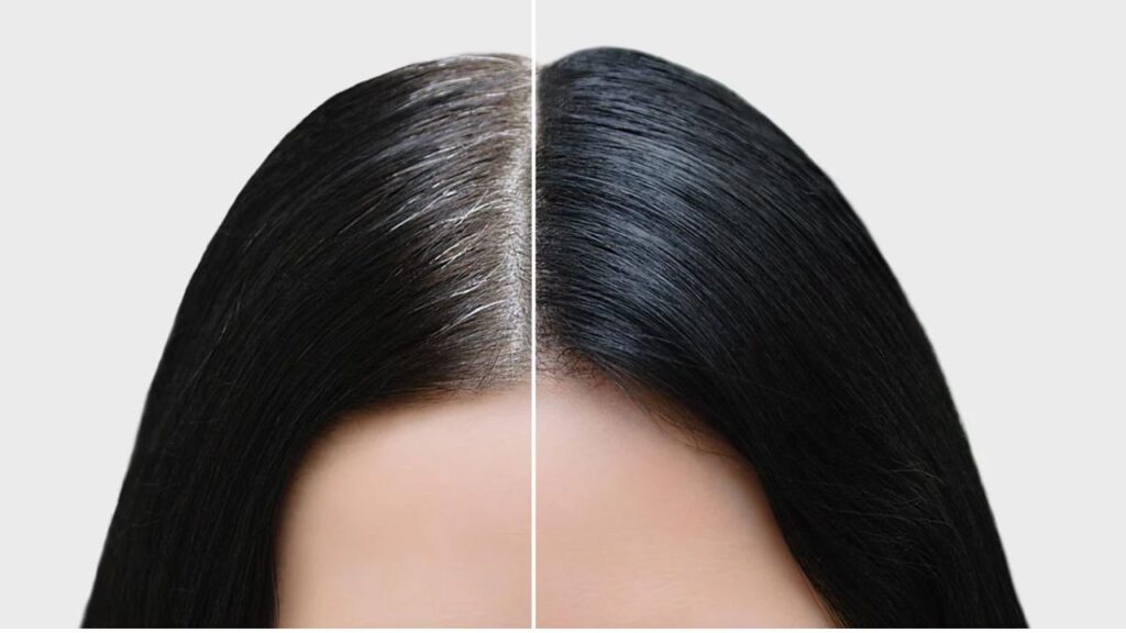wellhealthorganic.com how to prevent white hair naturally