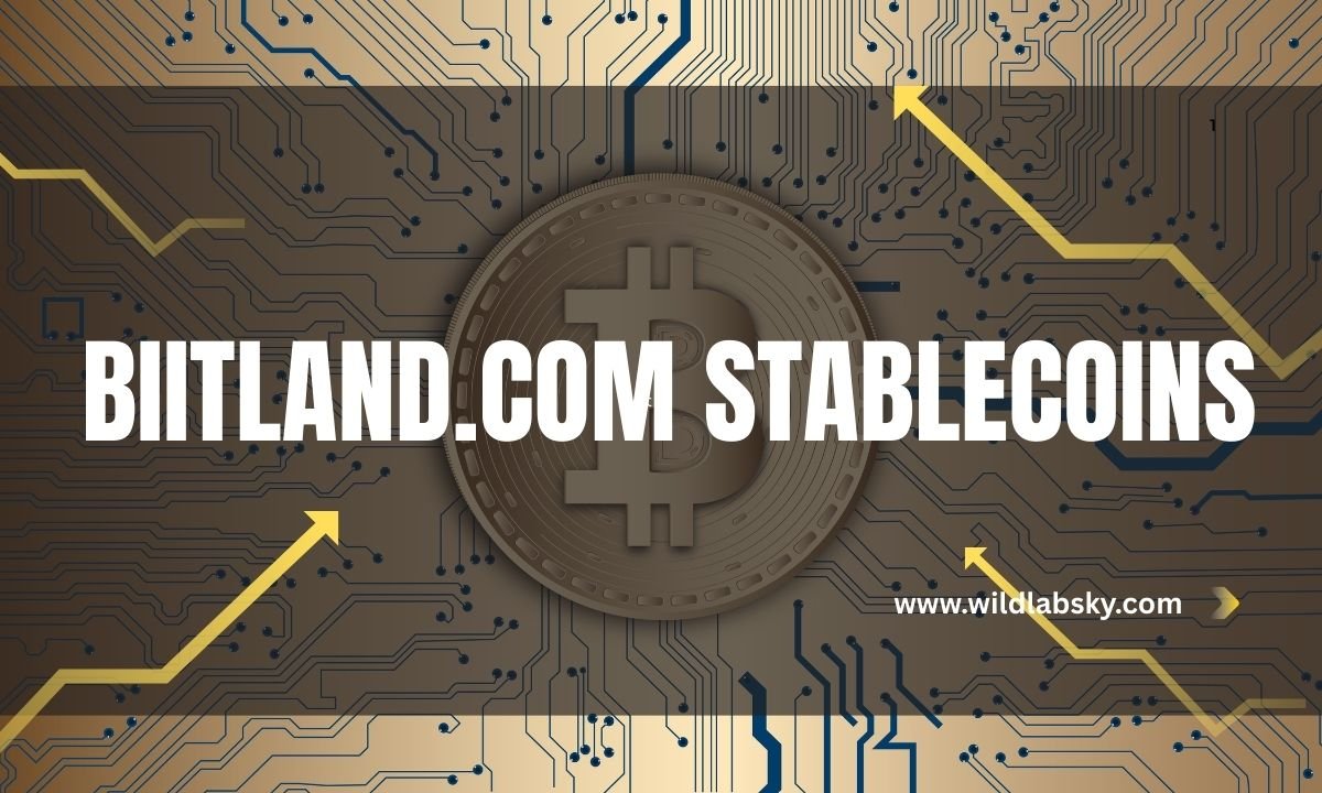 Biitland.com Stablecoins and the Role of Stablecoins in Digital Finance