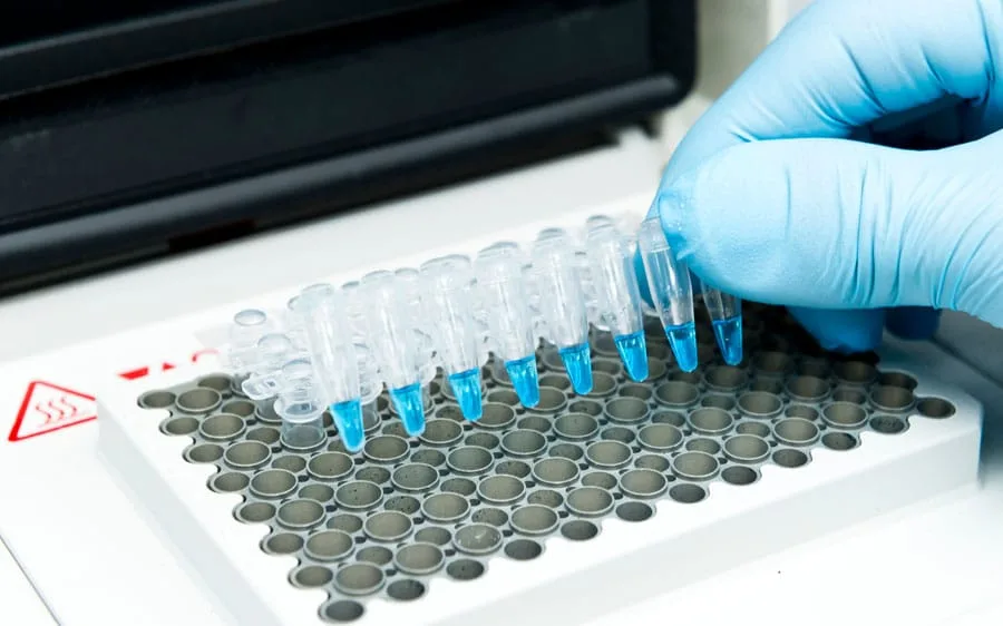DNA Technologies that Are Changing Medicine and Biotechnology