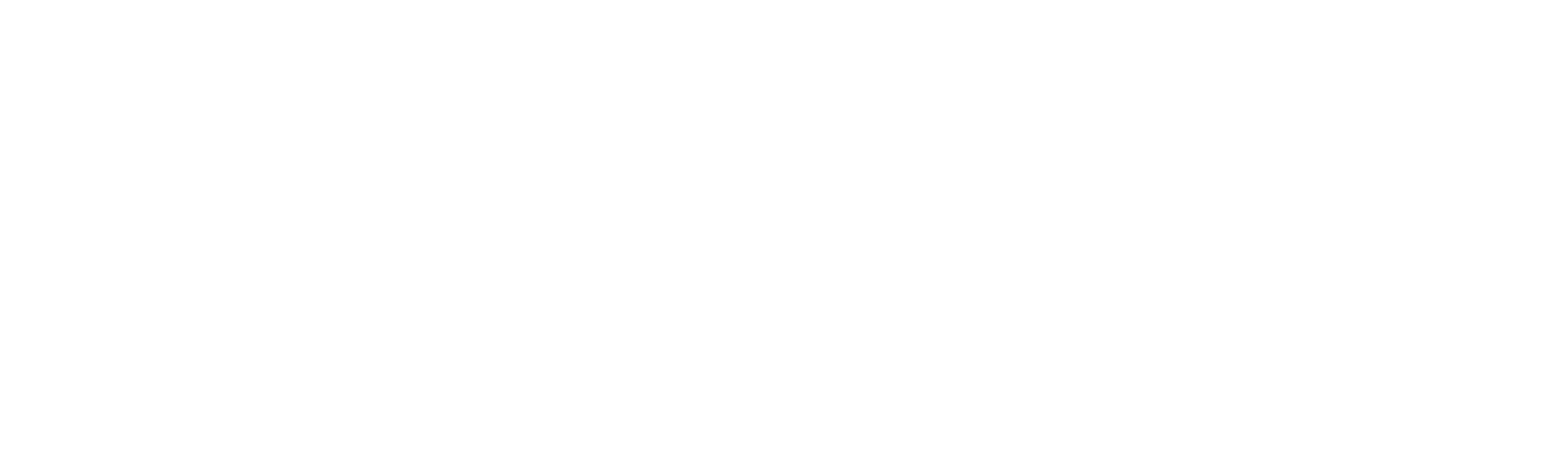 Wild Labs Logo